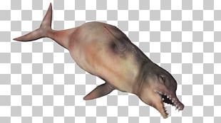 Fallout 4: Far Harbor Fallout: New Vegas Wiki Sea Monster PNG