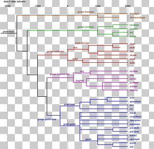 Tree Model Indo-European Languages Linguistics Cladistics PNG