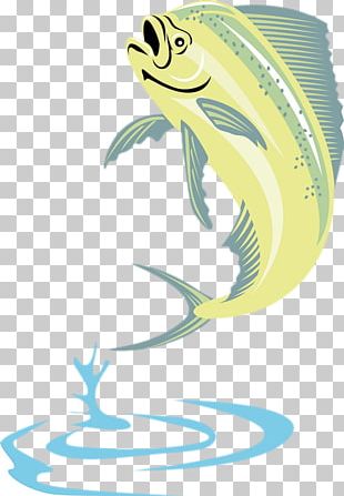 Mahi-mahi Stock Photography Illustration PNG