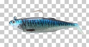 Sardine Spoon Lure European Herring Gull Perch PNG