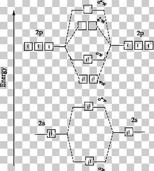 Jablonski Diagram Fluorescence Excited State Phosphorescence Absorption ...