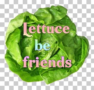 Organic Food Spinach Salad Vegetable Health PNG