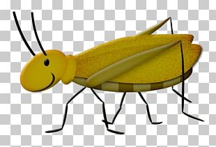 Grasshopper Cartoon PNG, Clipart, Animation, Arthropod, Cartoon ...