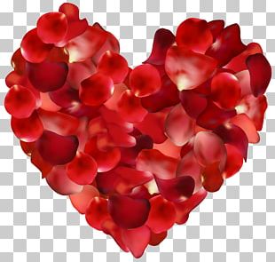 Petal Rose Flower PNG, Clipart, Clip Art, Desktop Wallpaper, Flower ...
