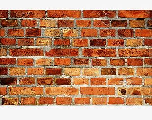 Brick Wall Wall Texture PNG