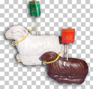 BÃ¤ckerei Welter GmbH & Co. KG Dog Snout Sugar Bakery PNG