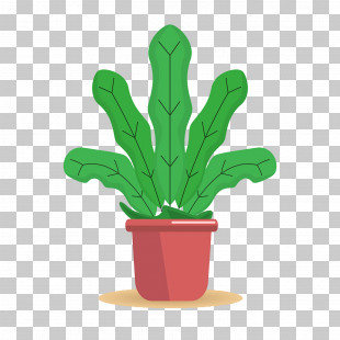 Cactus PNG