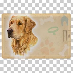 Golden Retriever Nova Scotia Duck Tolling Retriever Sussex Spaniel Puppy Dog Breed PNG