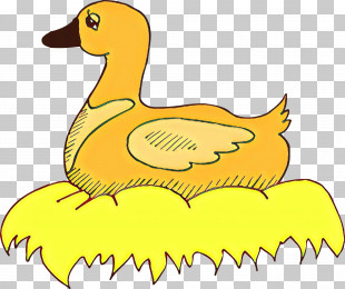 Bird Yellow Ducks, Geese And Swans Duck Beak PNG