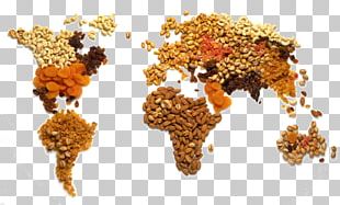 Dried Fruit Nuts Dried Apricot Drying PNG