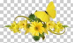 mustard flower png