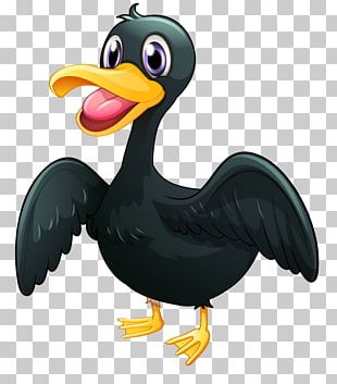 American Pekin Duck Bird Platypus PNG