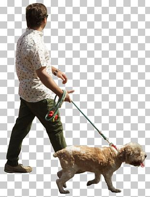 Dog Breed Puppy Dog Walking Obedience Training PNG