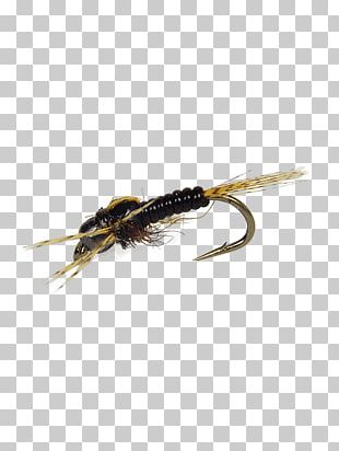 Holly Flies Artificial Fly Fly Fishing Insect PNG, Clipart, 17065, Artificial  Fly, Brand Ambassador, Crane Fly, Fishing Free PNG Download