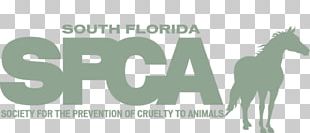 American Quarter Horse Society For The Prevention Of Cruelty To Animals San Francisco SPCA Arabian Horse PNG