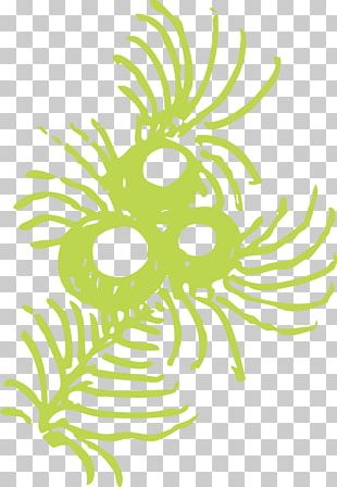 Sticky Spider Green PNG