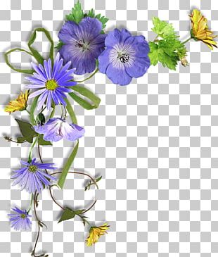 Frames Rose PNG, Clipart, Bitmap, Bud, Cut Flowers, Encapsulated ...