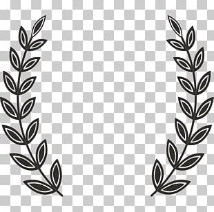 Lavender Drawing Laurel Wreath Iron-on PNG, Clipart, Body Jewelry ...