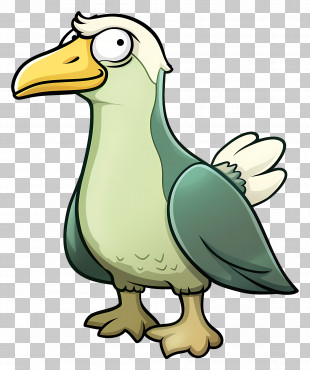 Cartoon Seagull - Cartoon Bird With Beak PNG