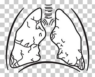 Gas Exchange Pulmonary Alveolus Lung Breathing PNG, Clipart, 4 Blood ...