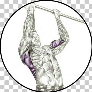 Chin-up Pull-up Muscle Exercise PNG