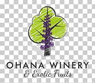 Paragon Theatre Ohana Winery And Exotic Fruits Common Grape Vine PNG