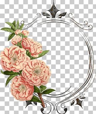 Rose Flower Frames Pink PNG, Clipart, Art, Blossom, Border Frames, Clip ...