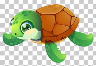 Sea Turtle Graphics The Turtle PNG, Clipart, Ajay, Animals, Art ...