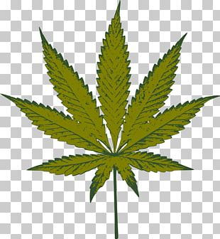 Cannabis Leaf Hashish PNG, Clipart, Black And White, Cannabis, Cannabis ...