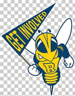 University Of Rochester YellowJackets Rochester Yellowjackets Men's ...