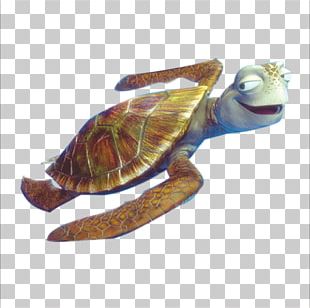 Crush Squirt Marlin Bruce Finding Nemo PNG, Clipart, Andrew Stanton ...