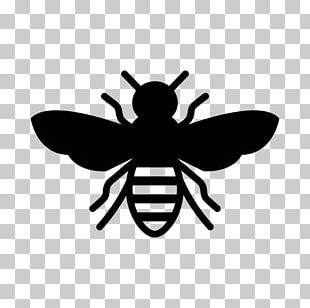 European Dark Bee Insect Stencil Honey Bee PNG