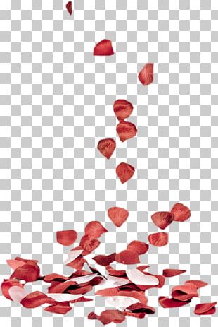 Heart Valentine's Day PhotoFiltre Love PNG