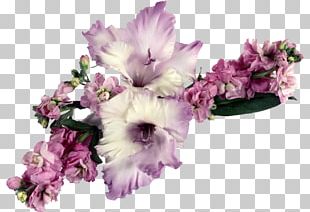 Floral Design Cut Flowers Gladiolus Flower Bouquet PNG, Clipart, Breed ...