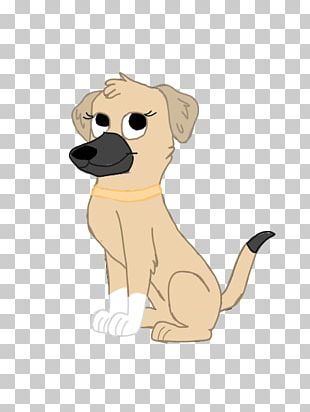 Puppy Dog Breed Golden Retriever Sporting Group PNG