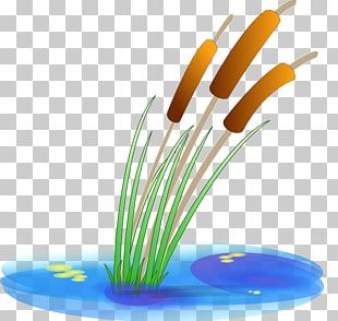 Scalable Graphics PNG