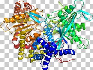 Ligand Docking Thermodynamic Free Energy PNG