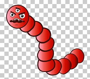 Streptococcus Bacteria PNG