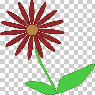 Flower Stock Photography Gerbera Jamesonii Common Daisy PNG, Clipart ...