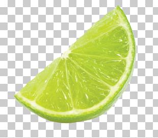 green lemon slices png images green lemon slices clipart free download green lemon slices png images green