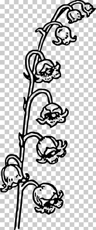 Lily Of The Valley Lilium Drawing Flower PNG