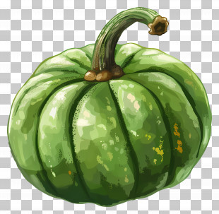 Green Pumpkin - Organic Green Pumpkin Illustration PNG