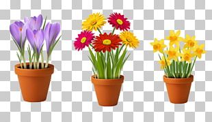 Flowerpot Photography PNG, Clipart, Advanced Photoshop, Annual Plant ...