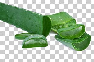 Aloe Vera Leaf Centuryplant Stock Photography PNG