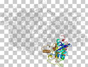 Illustration Desktop Product Computer PNG