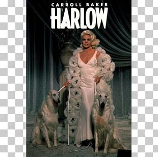 Marino Bello Actor Film Jean Harlow PNG