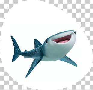 Whale Shark Isla Holbox Basking Shark PNG, Clipart, Animal, Animals ...