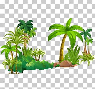 Vine Liana Tropical Rainforest Stock Photography Jungle PNG, Clipart ...