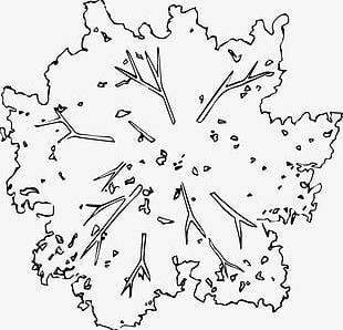 Autocad Tree Top View - Download Autocad