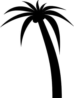 Arecaceae Silhouette Tree PNG, Clipart, Arecaceae, Arecales, Black ...